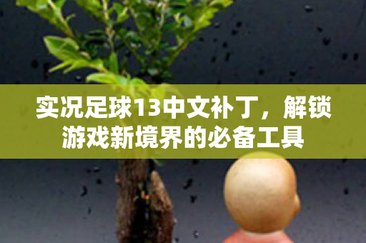 实况足球13中文补丁，解锁游戏新境界的必备工具