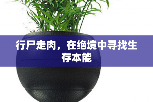 行尸走肉，在绝境中寻找生存本能