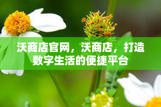 沃商店官网,沃商店,打造数字生活的便捷平台 沃商店官网,沃商店,打造数字生活的便捷平台