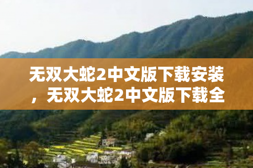 无双大蛇2中文版下载安装，无双大蛇2中文版下载全攻略，解锁历史与神话的交汇点