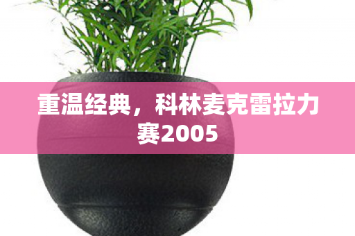 重温经典，科林麦克雷拉力赛2005
