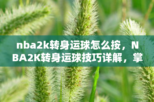 nba2k转身运球怎么按,NBA2K转身运球技巧详解,掌握这项技巧,让你在球场上如虎添翼 nba2k转身运球怎么按,NBA2K转身运球技巧详解,掌握这项技巧,让你在球场上如虎添翼