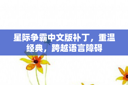 星际争霸中文版补丁，重温经典，跨越语言障碍