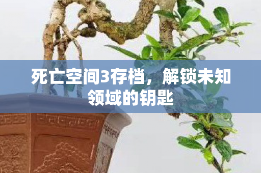 死亡空间3存档，解锁未知领域的钥匙