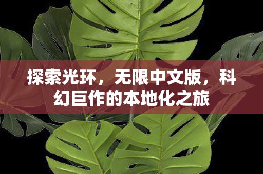探索光环，无限中文版，科幻巨作的本地化之旅