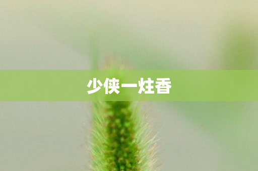少侠一炷香