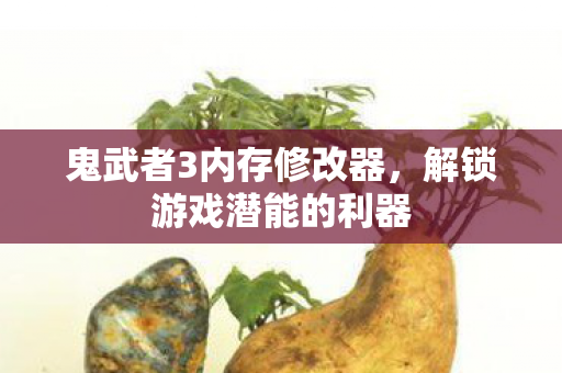 鬼武者3内存修改器，解锁游戏潜能的利器