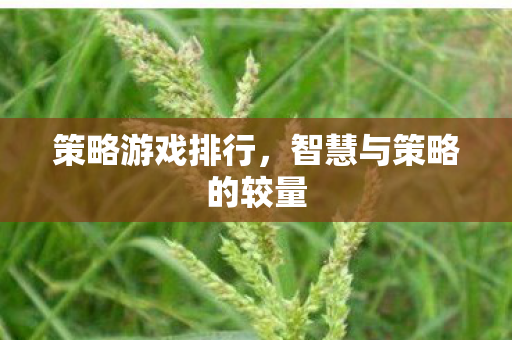 策略游戏排行，智慧与策略的较量