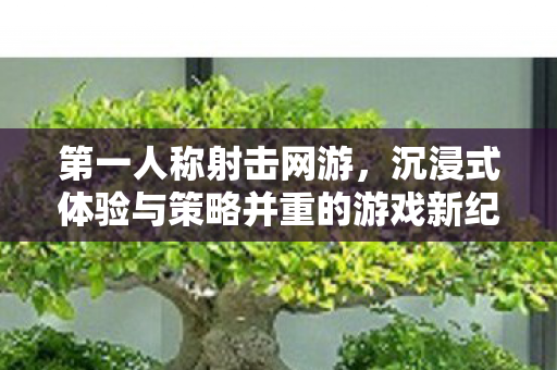 第一人称射击网游，沉浸式体验与策略并重的游戏新纪元