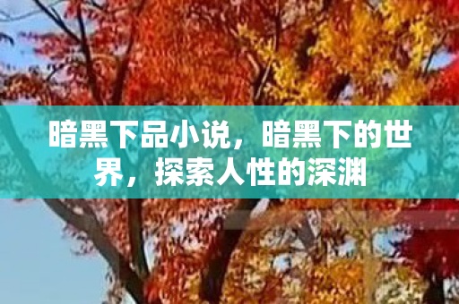 暗黑下品小说,暗黑下的世界,探索人性的深渊 暗黑下品小说,暗黑下的世界,探索人性的深渊