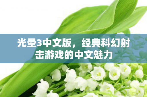 光晕3中文版，经典科幻射击游戏的中文魅力