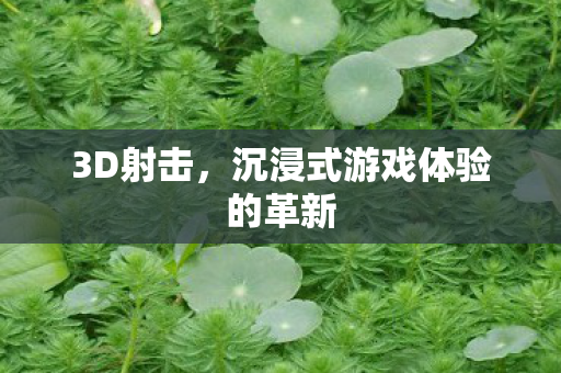 3D射击，沉浸式游戏体验的革新