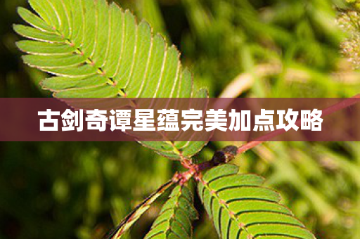 古剑奇谭星蕴完美加点攻略
