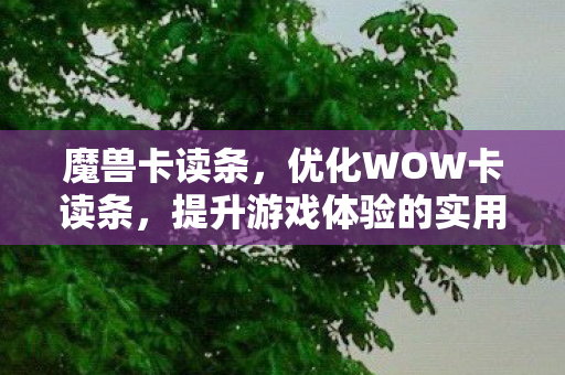 魔兽卡读条，优化WOW卡读条，提升游戏体验的实用技巧