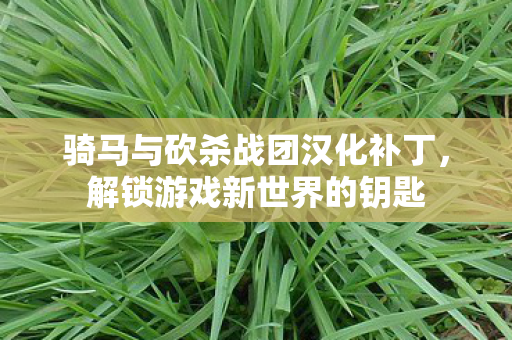 骑马与砍杀战团汉化补丁,解锁游戏新世界的钥匙 骑马与砍杀战团汉化补丁,解锁游戏新世界的钥匙