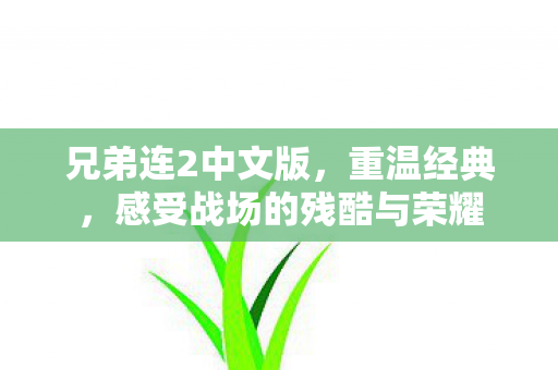 兄弟连2中文版，重温经典，感受战场的残酷与荣耀