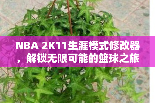 NBA 2K11生涯模式修改器，解锁无限可能的篮球之旅