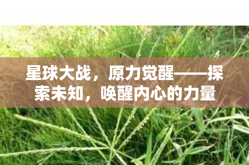 星球大战，原力觉醒——探索未知，唤醒内心的力量