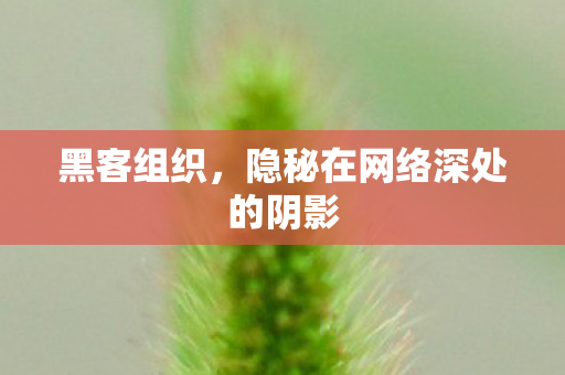 黑客组织，隐秘在网络深处的阴影