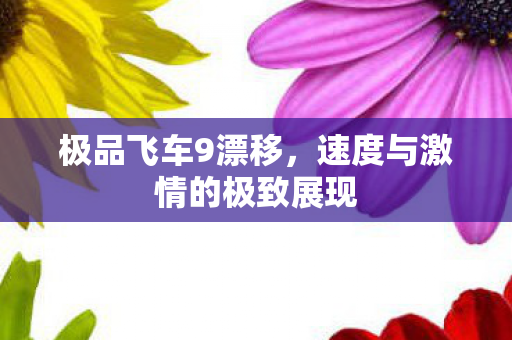 极品飞车9漂移，速度与激情的极致展现