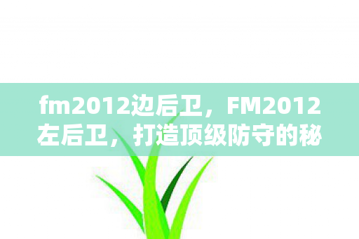fm2012边后卫,FM2012左后卫,打造顶级防守的秘诀 fm2012边后卫,FM2012左后卫,打造顶级防守的秘诀