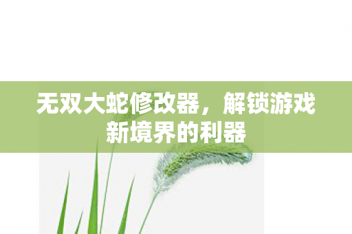 无双大蛇修改器，解锁游戏新境界的利器