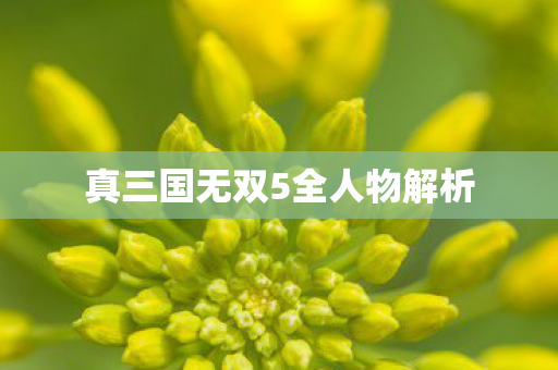 真三国无双5全人物解析