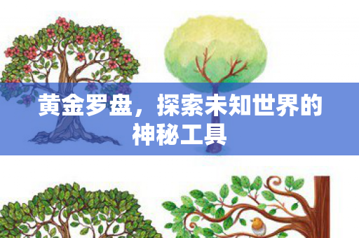 黄金罗盘，探索未知世界的神秘工具