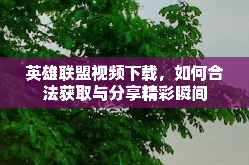 英雄联盟视频下载,如何合法获取与分享精彩瞬间 英雄联盟视频下载,如何合法获取与分享精彩瞬间