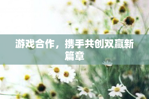 游戏合作，携手共创双赢新篇章