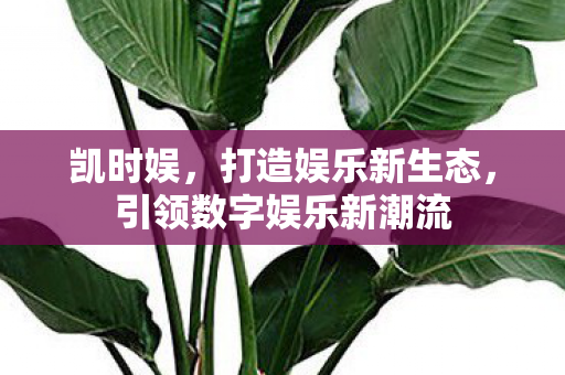 凯时娱，打造娱乐新生态，引领数字娱乐新潮流