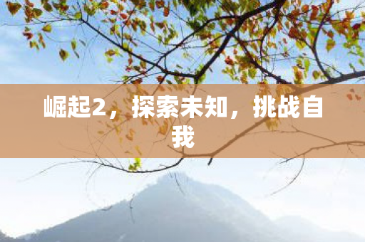 崛起2，探索未知，挑战自我