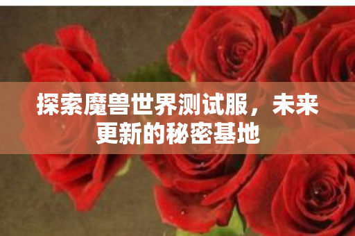 探索魔兽世界测试服，未来更新的秘密基地