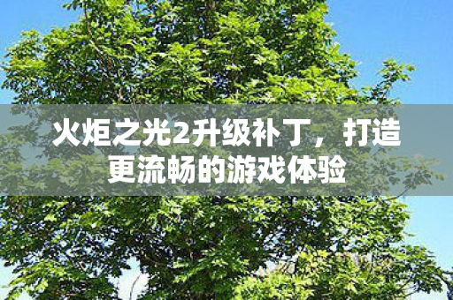 火炬之光2升级补丁，打造更流畅的游戏体验
