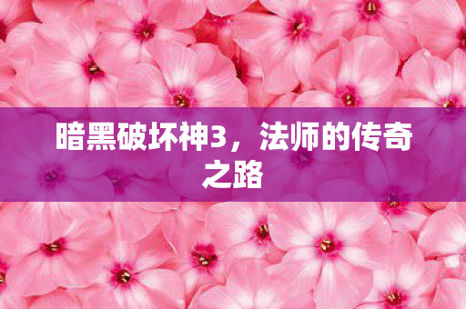 暗黑破坏神3，法师的传奇之路
