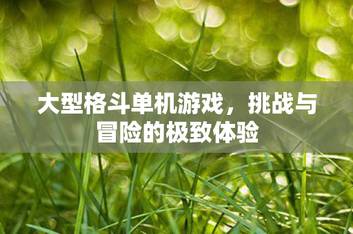 大型格斗单机游戏,挑战与冒险的极致体验 大型格斗单机游戏,挑战与冒险的极致体验