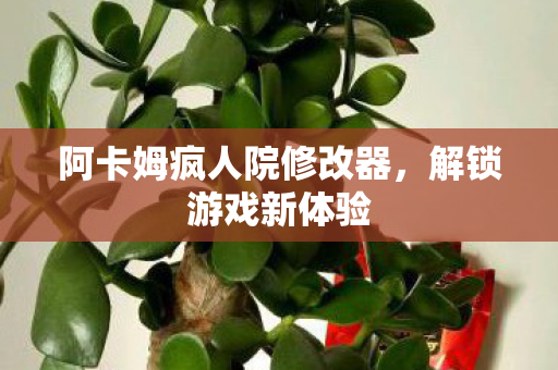 阿卡姆疯人院修改器，解锁游戏新体验