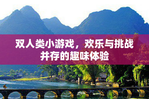 双人类小游戏，欢乐与挑战并存的趣味体验