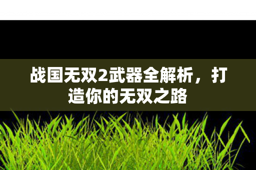 战国无双2武器全解析，打造你的无双之路