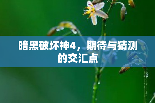暗黑破坏神4，期待与猜测的交汇点