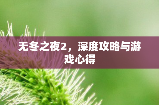 无冬之夜2，深度攻略与游戏心得