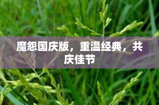 魔怨国庆版，重温经典，共庆佳节
