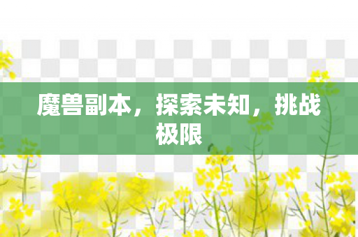 魔兽副本，探索未知，挑战极限