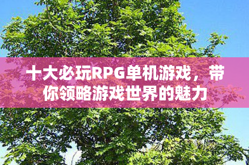 十大必玩RPG单机游戏，带你领略游戏世界的魅力