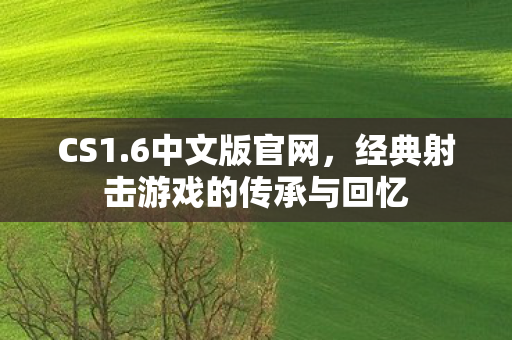 CS1.6中文版官网，经典射击游戏的传承与回忆