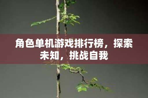 角色单机游戏排行榜，探索未知，挑战自我