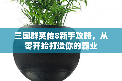 三国群英传8新手攻略，从零开始打造你的霸业