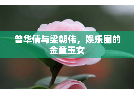 曾华倩与梁朝伟，娱乐圈的金童玉女