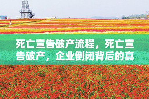 死亡宣告破产流程，死亡宣告破产，企业倒闭背后的真相与应对之策