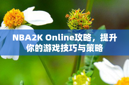NBA2K Online攻略,提升你的游戏技巧与策略 NBA2K Online攻略,提升你的游戏技巧与策略